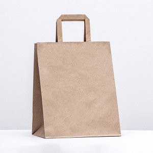 Пакет бумажный крафт, плоская ручка 24x14x29 см, 90 г/м²