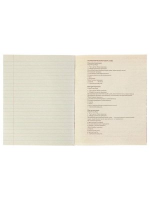 Тетрадь предметная 48 листов в клетку Calligrata, «Чёрное-белое. Русский язык», обложка мелованная бумага, серые листы