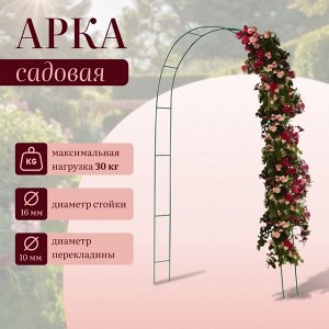 Арка садовая, 240x125x20 см, для вьющихся растений, металлическая, зелёная