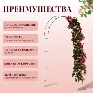 Арка садовая, 240x125x20 см, для вьющихся растений, металлическая, зелёная