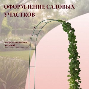 Арка садовая, 240x125x20 см, для вьющихся растений, металлическая, зелёная