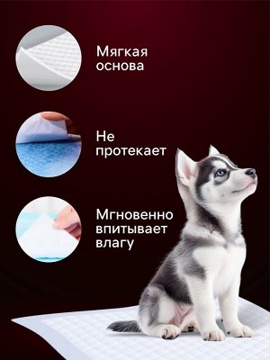Пеленки для животных угольные шестислойные гелевые, 60 х 90 см, (в наборе 5 шт)