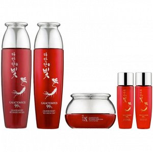 Набор DAANDAN BIT средства для питания и ухода с красным женьшенем PREMIUM RED GINSENG 3SET (тонер, эмульсия, крем)
