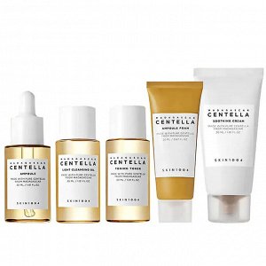 Дорожный набор с мадагаскарской центеллой SKIN1004 Madagascar Centella Travel Kit (масло, пенка, тонер, сыворотка, крем)