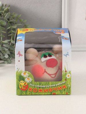 Набор для выращивания «ЭкоЖивчик. Ёжик лесной», фигурка растущая в подарочной упаковке, МИКС