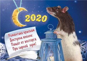 ЛиС Карманный календарь 2020 с глиттером &quot;Год крысы (коллаж)&quot;