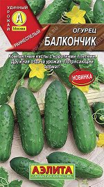 Огурец Балкончик (2024; 12.566.05)
