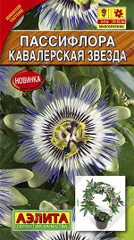 Пассифлора Кавалерская звезда