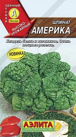Шпинат Америка (2023; 31.15.04)