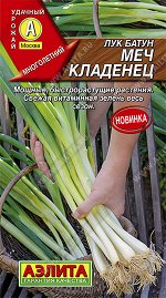Лук батун Меч Кладенец (2023; 10.138.02)