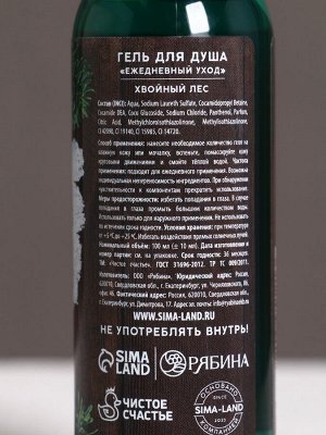 Гель для душа «С Новым Годом!», 100 мл, аромат хвойного леса, Чистое счастье