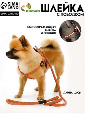 Комплект "Плетенка", флуоресцентный, поводок 115 х 1 см, ОГ 32-48 х 1,5 см, оранжевый
