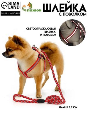 Комплект "Плетенка", флуоресцентный, поводок 115 х 1 см, ОГ 32-48 х 1,5 см, красный