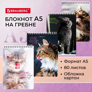 Блокнот А5 146х206мм, 80л, гребень, картон, клетка, BRAUBERG, Довольные коты, 114374,  1 шт