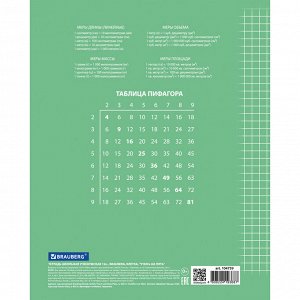 Тетрадь 12л. КЛЕТКА, BRAUBERG, ЭКО "5-КА", обложка плотная мелованная бумага, ЗЕЛЕНАЯ, 104759