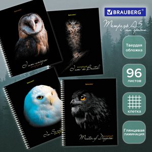 Тетрадь 96л. КЛЕТКА, BRAUBERG гребень,А5, твёрдая обложка, Совы (микс в спайке),1 шт, 404443