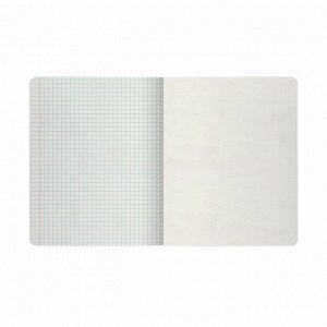 Тетрадь 48л. КЛЕТКА, АЛЬТ скоба, А5, глянцевый лак, ГЛАЗАСТИКИ, 1 шт, 7-48-1284