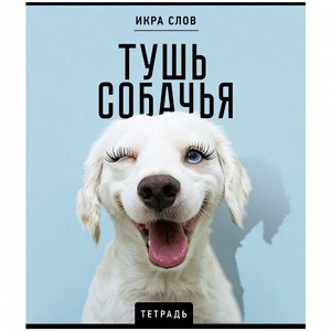 Тетрадь 48л.КЛЕТКА, ПЗБМ скоба, А5, конгрев, TWIN лак, Икра слов, 1 шт, 27377