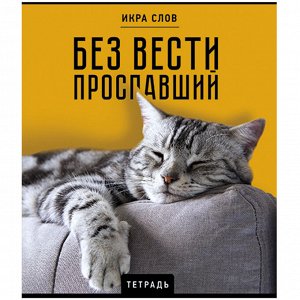 Тетрадь 48л.КЛЕТКА, ПЗБМ скоба, А5, конгрев, TWIN лак, Икра слов, 1 шт, 27377