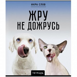 Тетрадь 48л.КЛЕТКА, ПЗБМ скоба, А5, конгрев, TWIN лак, Икра слов, 1 шт, 27377