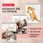 Блокнот МАЛЫЙ ФОРМАТ А6 108х145мм, 40л, гребень, картон, клетка, BRAUBERG, Милые котята,1 шт,  114391