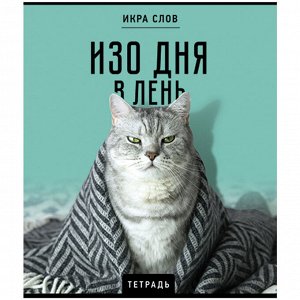 Тетрадь 48л.КЛЕТКА, ПЗБМ скоба, А5, конгрев, TWIN лак, Икра слов, 1 шт, 27377