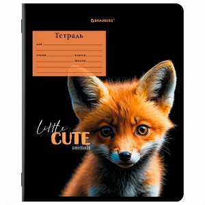 Тетрадь 12л. КЛЕТКА, BRAUBERG, обложка картон, CUTE ANIMALS, 1 шт, 107266