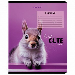 Тетрадь 12л. КЛЕТКА, BRAUBERG, обложка картон, CUTE ANIMALS, 1 шт, 107266