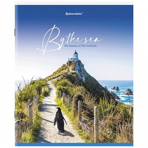 Тетрадь 80л. КЛЕТКА, BRAUBERG, скоба, А5, обложка картон, By The Sea, 1 шт, 404410