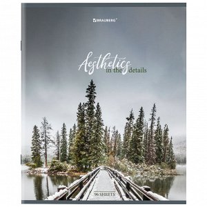 Тетрадь А5 96л. BRAUBERG скоба, клетка, глянцевая ламинация, Nature, 404427