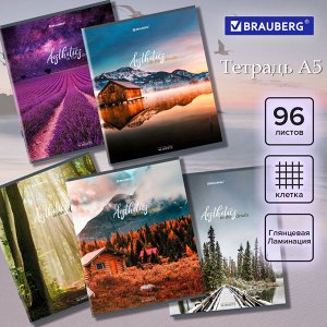 Тетрадь А5 96л. BRAUBERG скоба, клетка, глянцевая ламинация, Nature, 404427