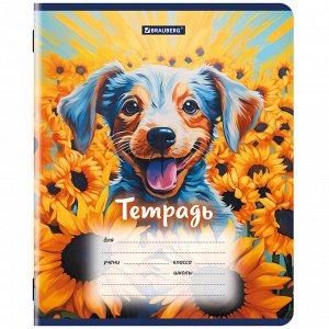 Тетрадь 12л. ЛИНИЯ, BRAUBERG, обложка картон, DOGS, 1 шт, 107281