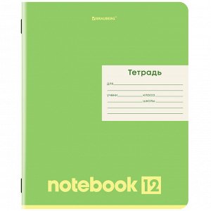 Тетрадь 12л. ЛИНИЯ, BRAUBERG, обложка картон, МОНОХРОМ,1 шт, 107283