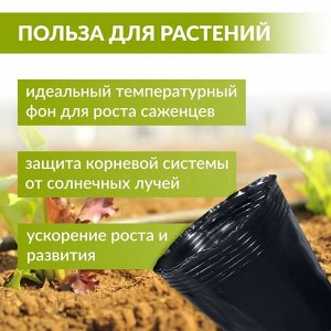 Рассадный Горшок мягкий 10*10 черный/ 100шт