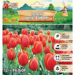Тюльпан Ворлдс Фэйворит, луковица в пакете с перфорацией, р-р 12/+, 5 шт.