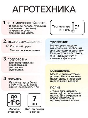 Гладиолус Низкорослый "Смесь сортов", р-р 10+, 7 шт,