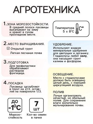 Гладиолус примуловидный «Атом», луковица цветов в пакете с перфорацией, р-р 10+, 7 шт.
