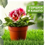 Горшки и кашпо
