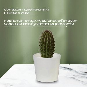 Кашпо керамика, 0.2 л, 8х7 см, конус, Белый, 633604