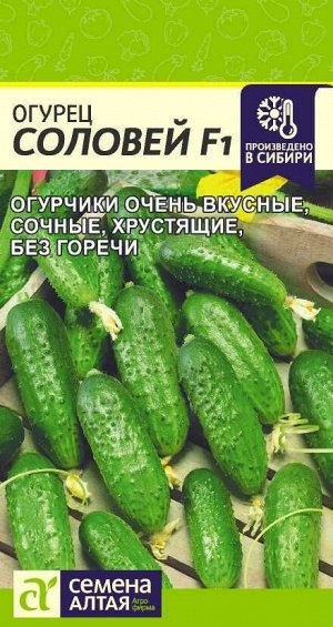 Огурец Соловей F1/Сем Алт/цп 0,3 гр.
