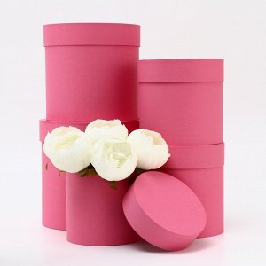Набор шляпных коробок 5в1, розовый, 20x20 - 13x13 см