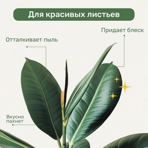 Удобрение Биомолекулы, для декоративно-лиственных, спрей, 500 мл, Удобряй