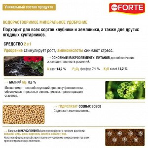 Удобрение для петуний,бегоний,пеларгоний и др.ампельных, водораств.с аминокисл-ми, пакет, комплексное, порошок, 100 г, Bona Forte