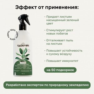 Удобрение Биомолекулы, для декоративно-лиственных, спрей, 500 мл, Удобряй