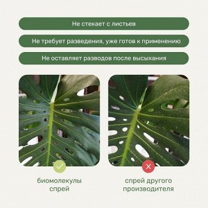 Удобрение Биомолекулы, для декоративно-лиственных, спрей, 500 мл, Удобряй