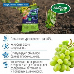Удобрение Виноград-Смородина-Малина, сухое, порошок, 2 кг, Добрая сила