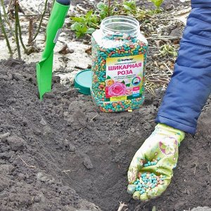 Удобрение Шикарная роза, комплексное, минеральный, 1200 г, БиоМастер