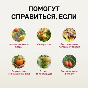 Удобрение Биомолекулы, для овощей, 400 мл, Удобряй