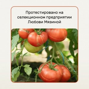 Удобрение Биомолекулы, для овощей, 400 мл, Удобряй