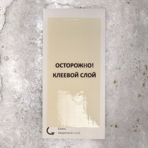 Родентицид Пластина, Nadzor, от грызунов, 2 шт, клеевая ловушка